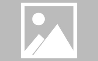 阳谷设计网页IP地址（网页的ip）